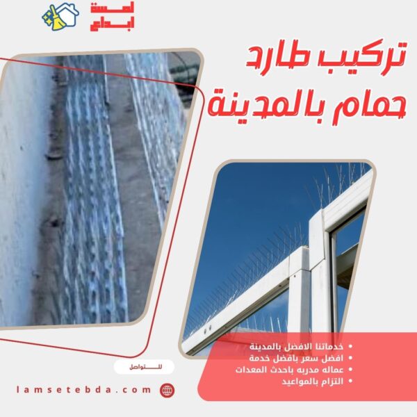 تركيب طارد حمام بالمدينة المنورة